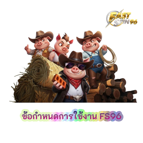ข้อกำหนดการใช้งาน FS96